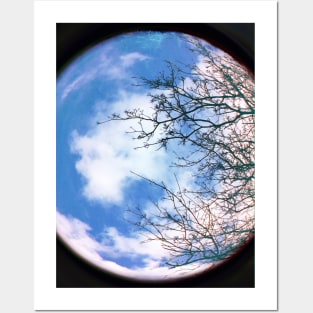 Planet Earth Environment with Blue Sky, White Cloud and Winter Tree Posters and Art